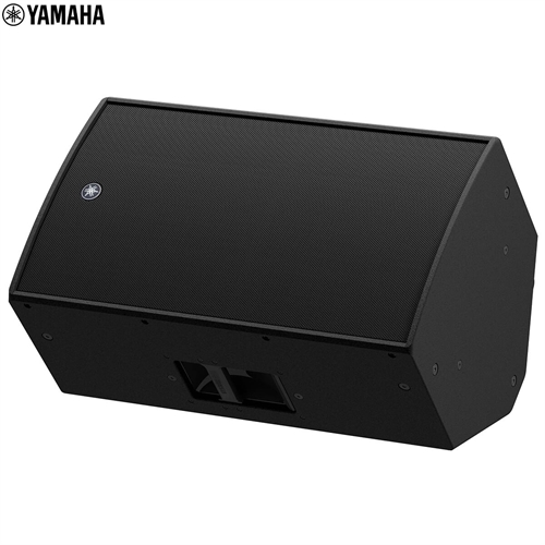 Loa Yamaha CZR15 6
